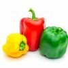 capsicum red yellow green