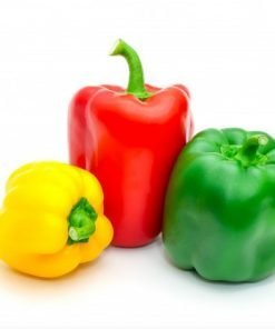 capsicum red yellow green