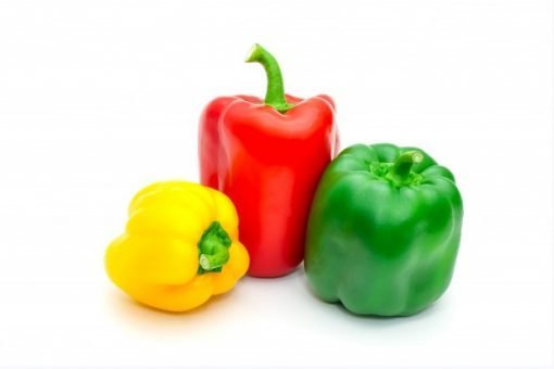 capsicum red yellow green