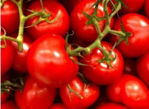 red bright tomatoes