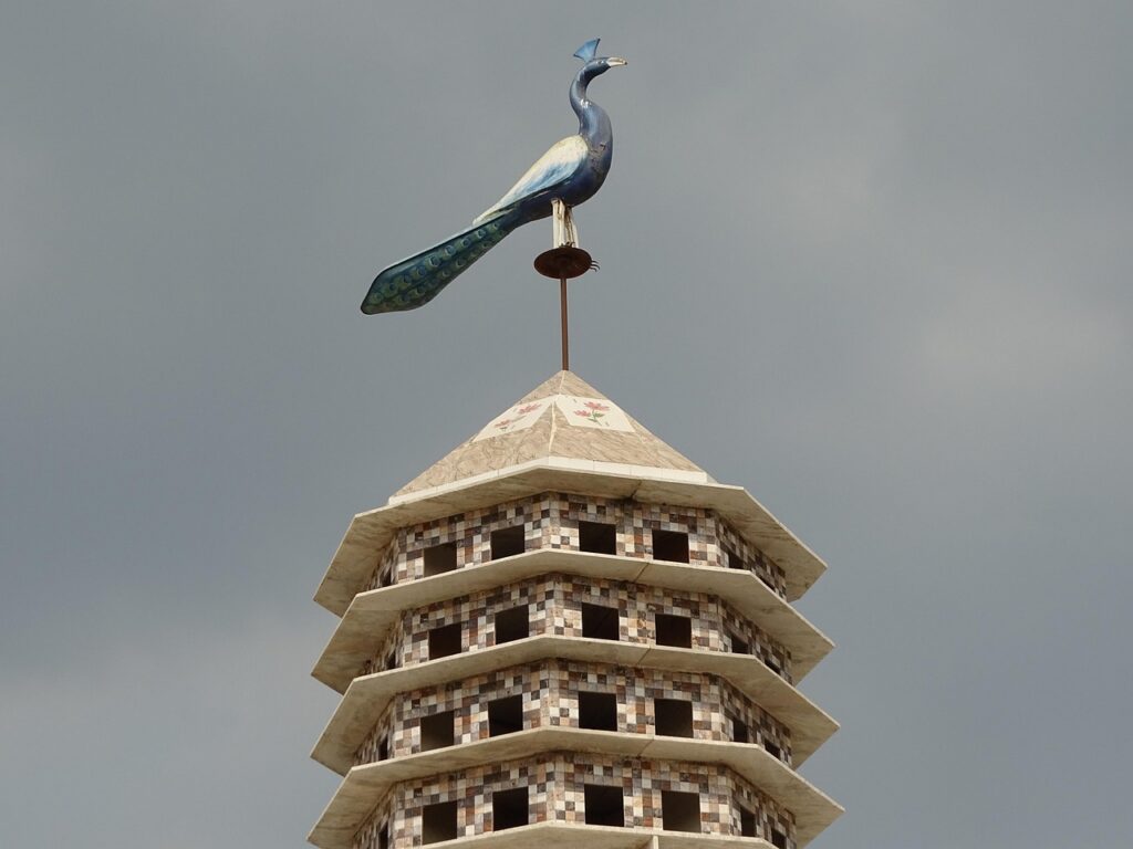 Birds House